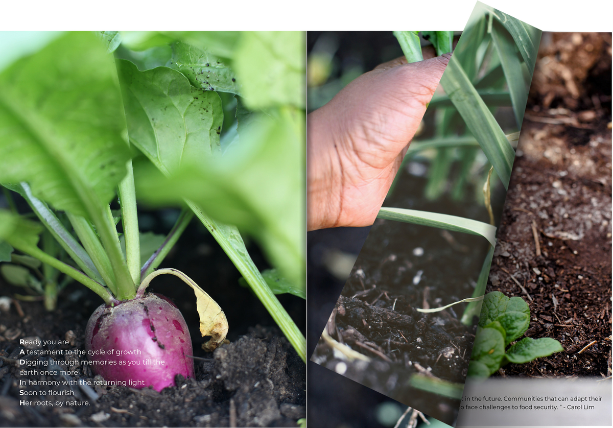 The Earth Food Love Magazine - Collector's Edition